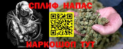 индика Будённовск
