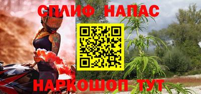 индика Будённовск