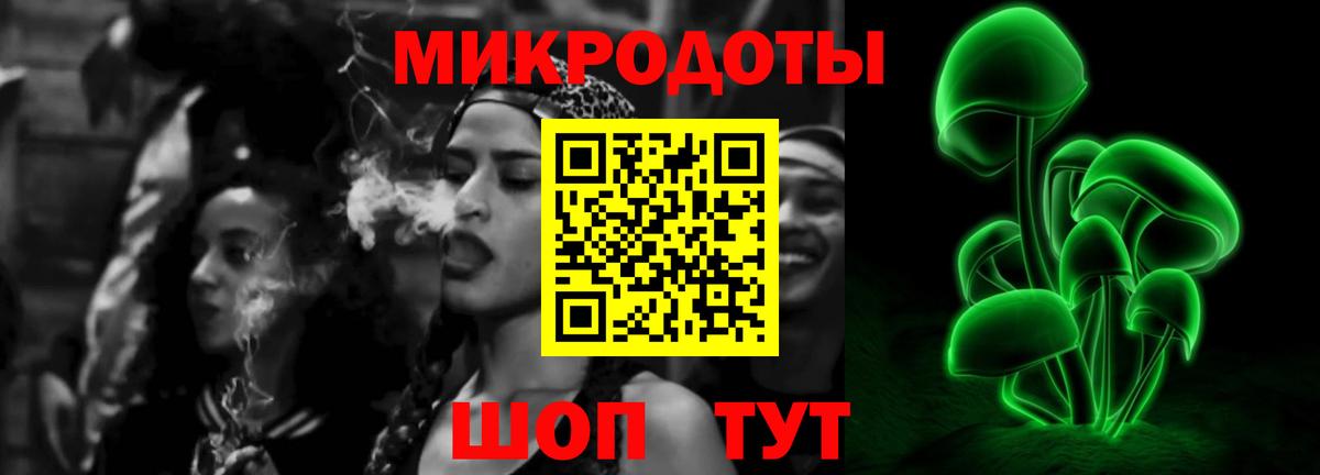 Похвистнево  Псилоцибиновые грибы Psilocybe  Вход с VPN  Галлюциногенные грибы GOLDEN TEACHER 